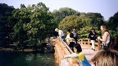 japan-garden-bridge